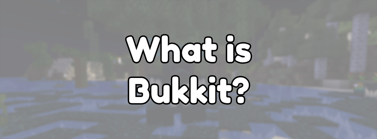 What is Bukkit?